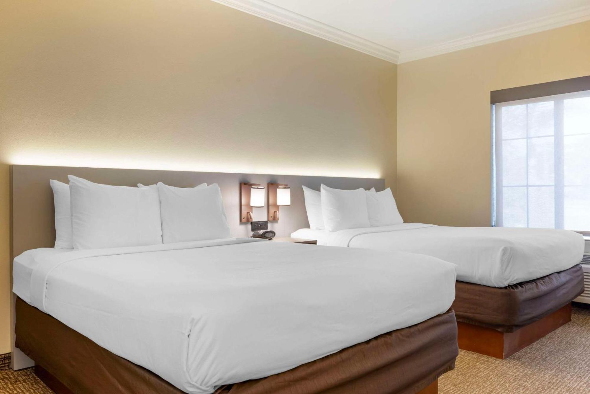 Comfort Camp Pendleton Area Hotel